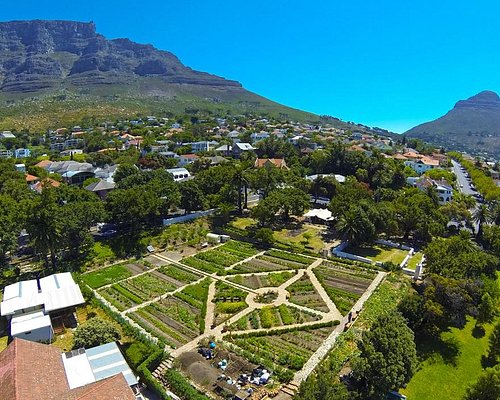 اكتشف سحر كيب تاون